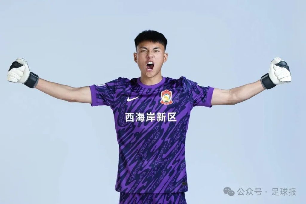 点击免费下载体验。介绍图片